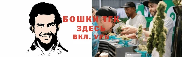 прущие грибы Богданович